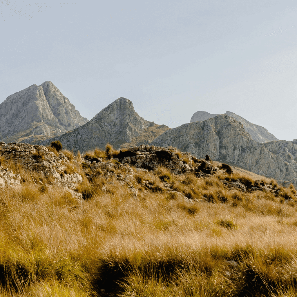 Hiking trails exploring the Serra de Tramuntana