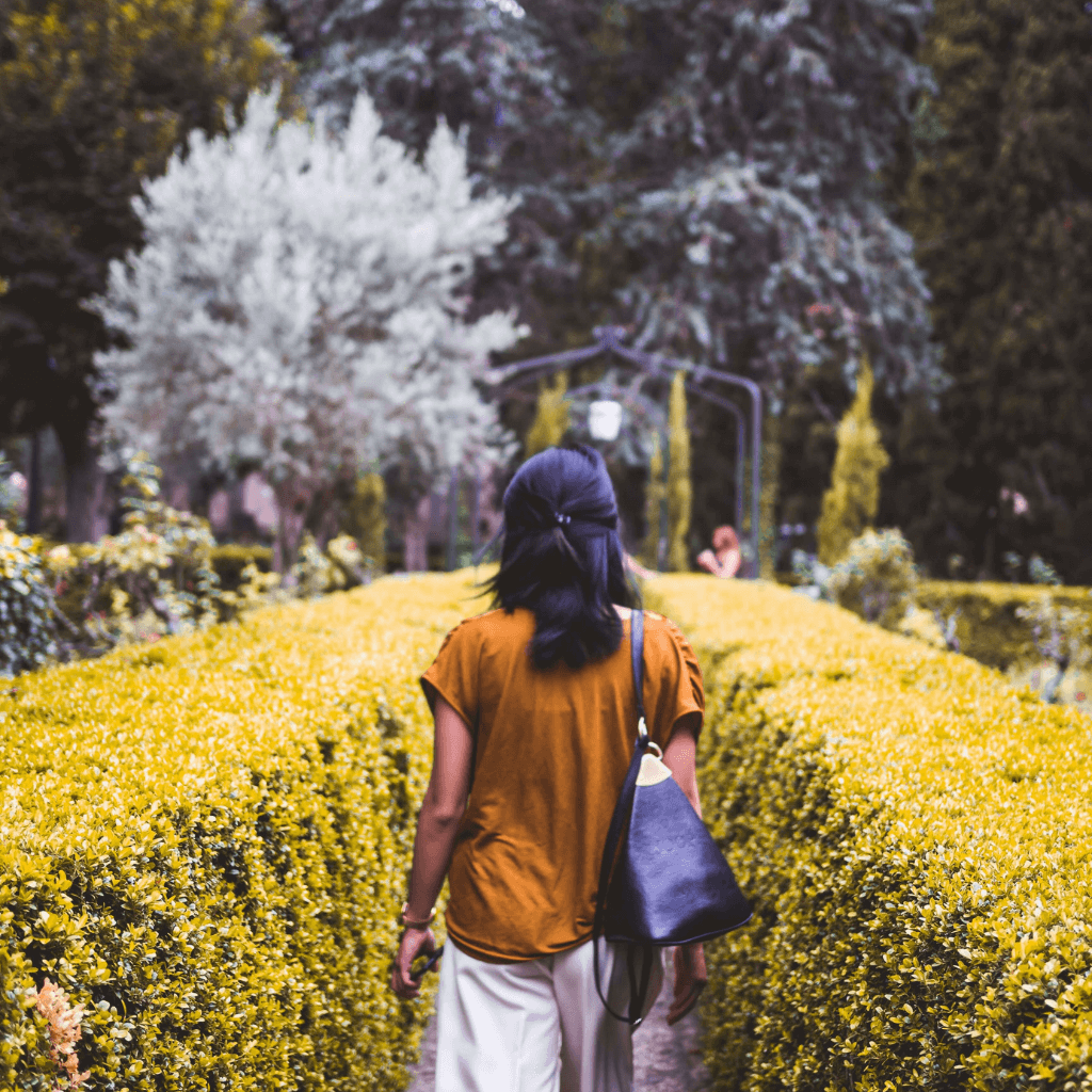 The gardens of the Charterhouse