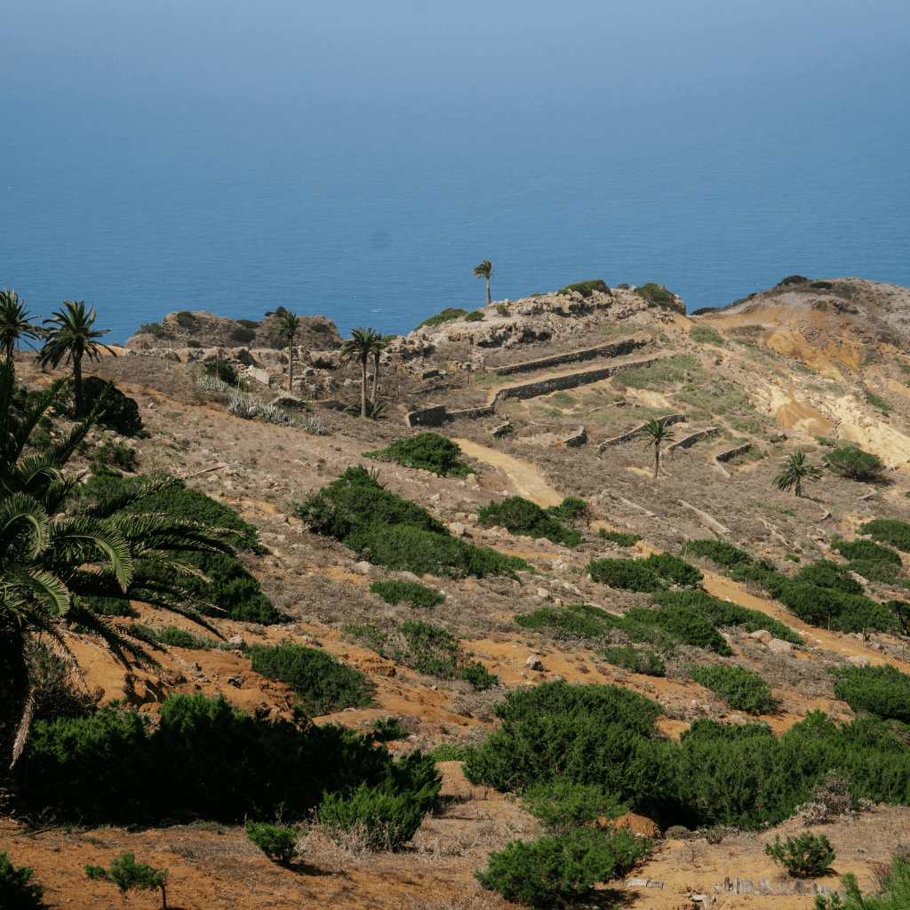 Puig de la Moneda viewpoint (sea view)